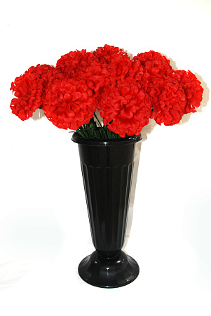 Хризантема пушистая