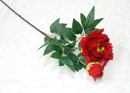 Ветка пиона декоративный