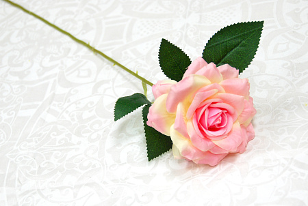 Роза цветная