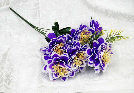 Б1871 георгин 7г