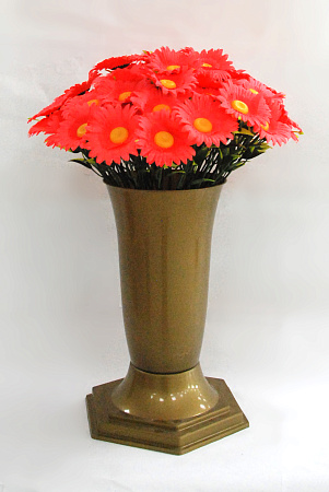 Ромашка полевая