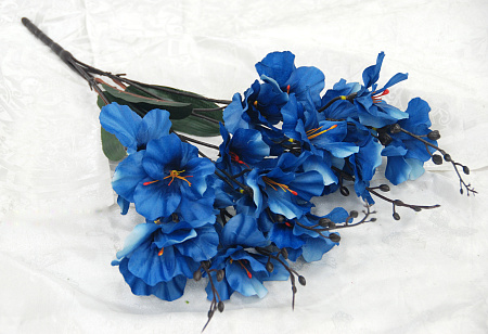 Б1898 петуния