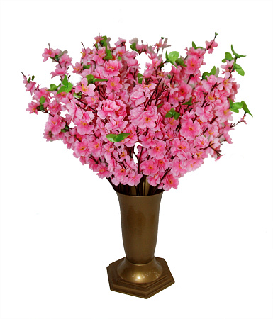 Добавка средняя