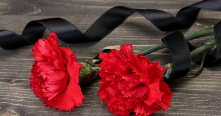 Гвоздика ж/ц