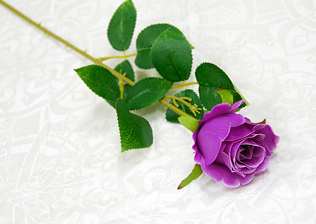 Бутон эквадор