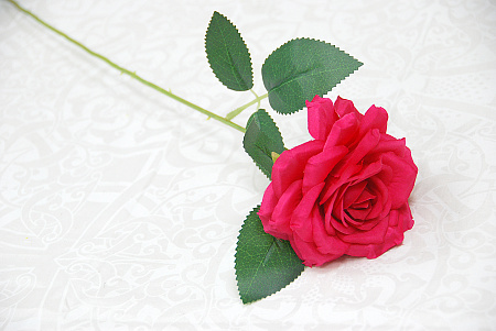 Роза цветная