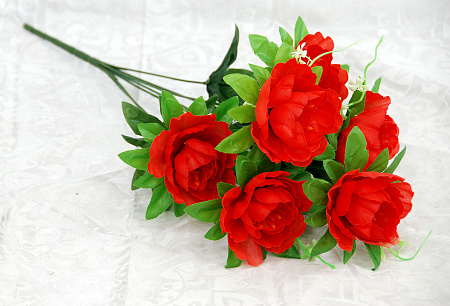 Б1831 пиончик