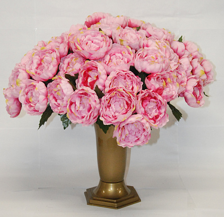 Пион садовый