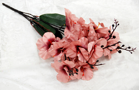 Б1898 петуния