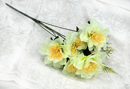 Б1871 георгин 7г