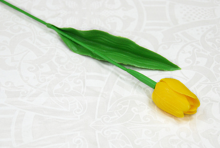 Тюльпан пластик