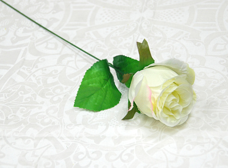 Бутон катюня