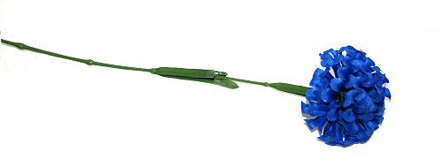 Хризантема пушистая