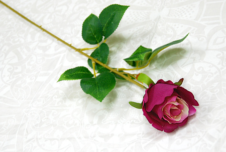 Бутон эквадор