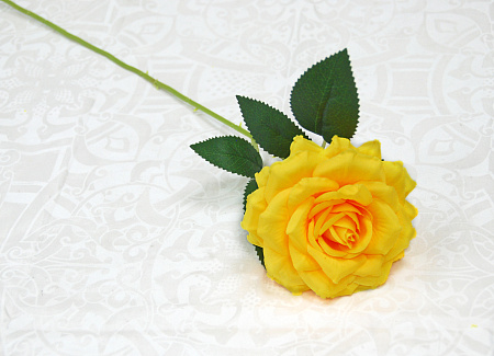 Роза цветная