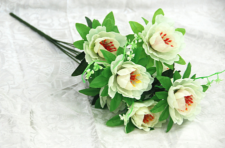 Б1831 пиончик