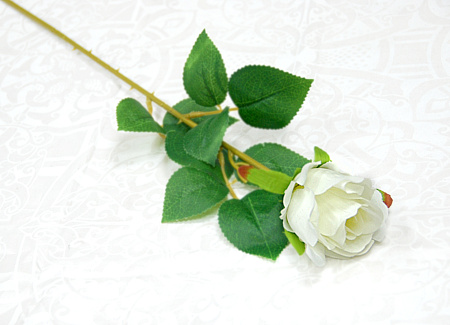 Бутон эквадор