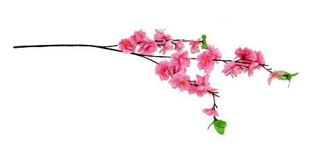 Добавка средняя