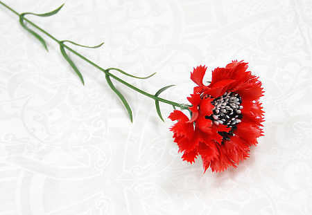 Василек пластик