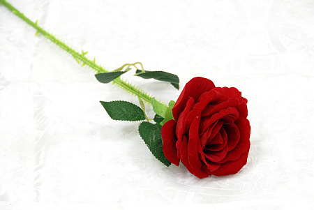 Роза с шипами