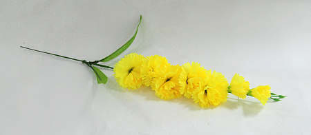 Ветка гвоздики