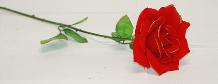 Роза бархатная большая