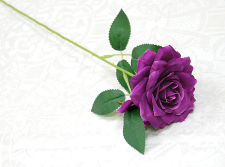 Роза цветная