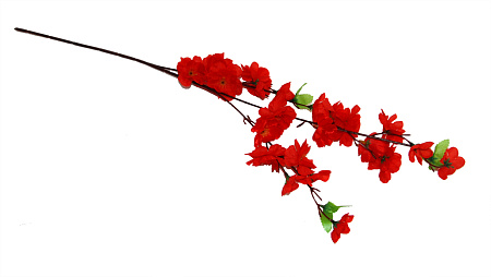 Добавка средняя