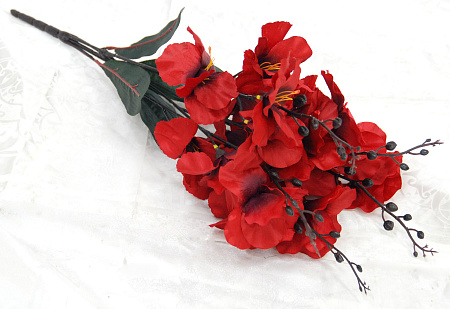 Б1898 петуния