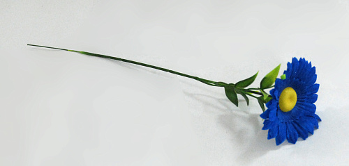 Ромашка полевая