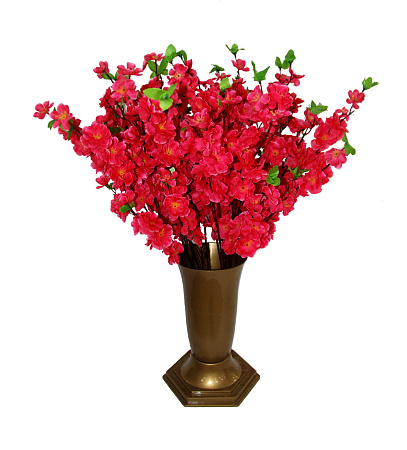 Добавка средняя