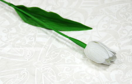 Тюльпан пластик