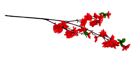 Добавка средняя