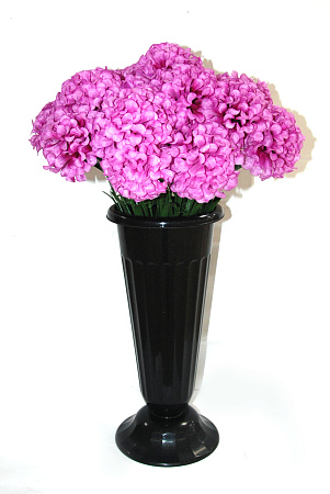 Хризантема пушистая