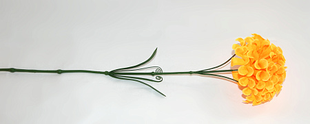 Хризантема пушистая