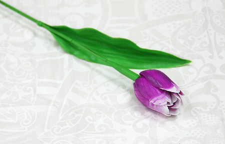 Тюльпан пластик