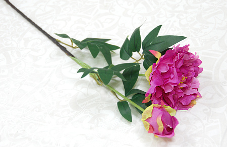 Ветка пиона декоративный