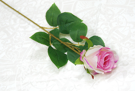 Бутон эквадор