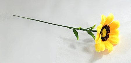 фиалка маленькая