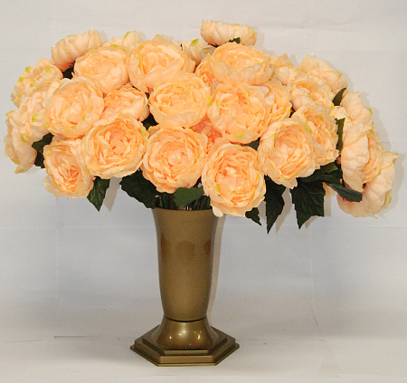 Пион садовый