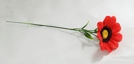 фиалка маленькая