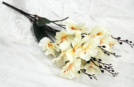 Б1898 петуния