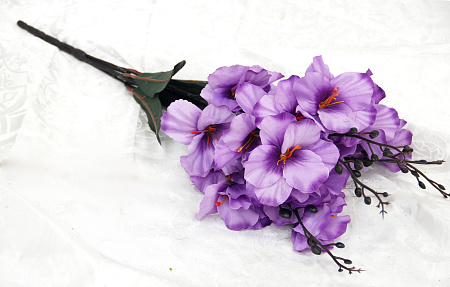 Б1898 петуния