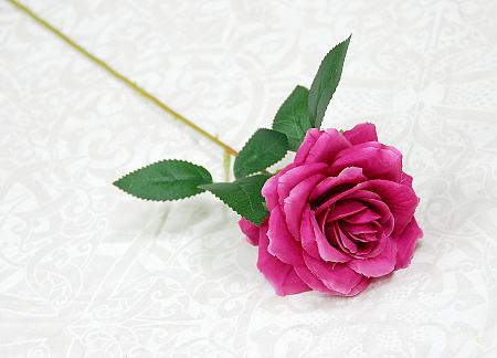 Роза цветная