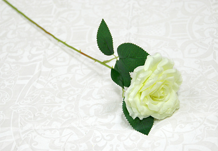 Роза цветная