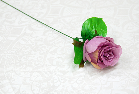 Бутон катюня