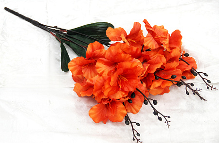 Б1898 петуния