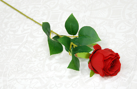 Бутон эквадор