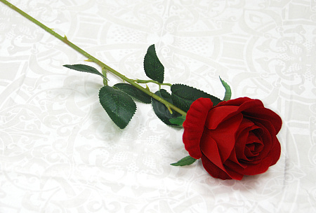 Роза одиночная бархатная 