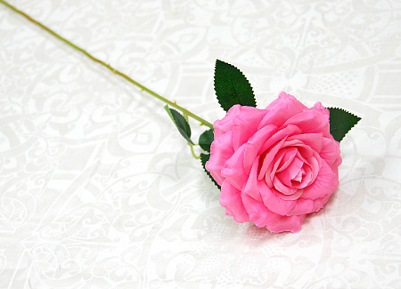 Роза цветная